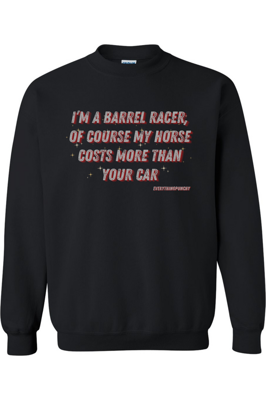 I'm a barrel racer, of course my horse costs more than your car sweatshirt
