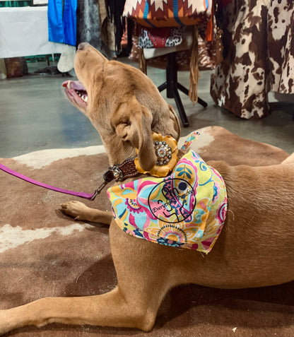 Barrel Dog Bandanna